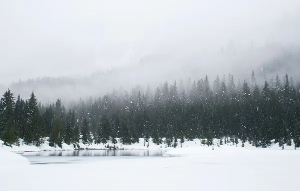 Cover image for On the cold