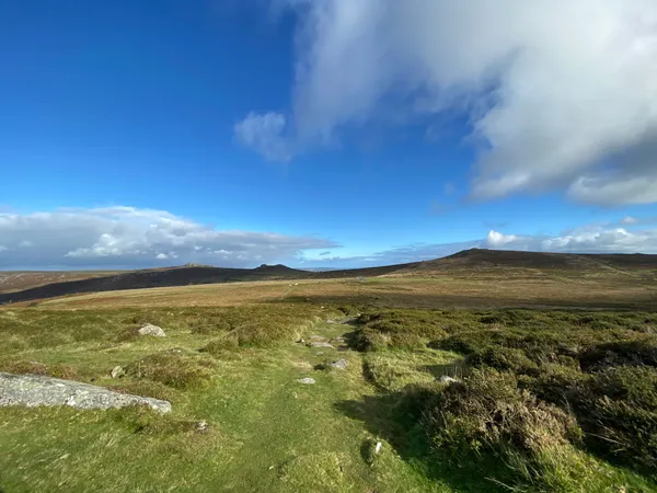 Cover image for An essay on Dartmoor