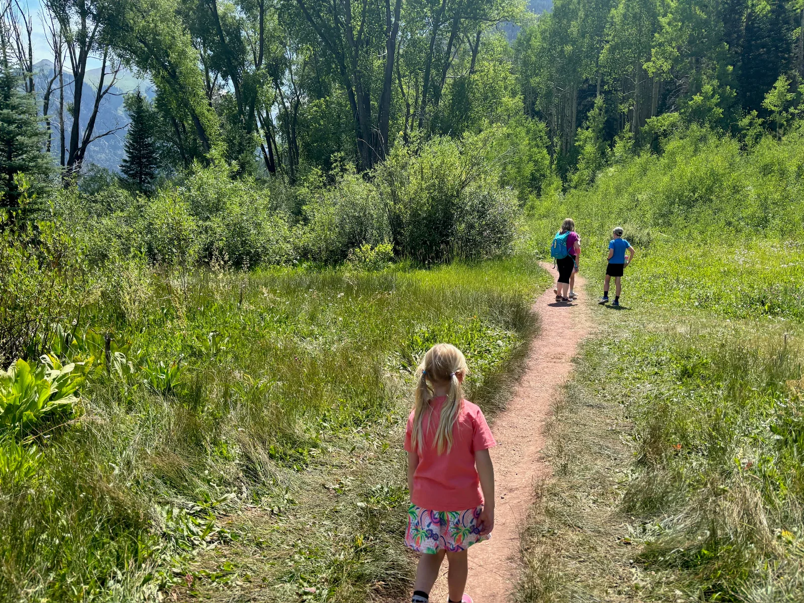 The river trail past the beaver pond