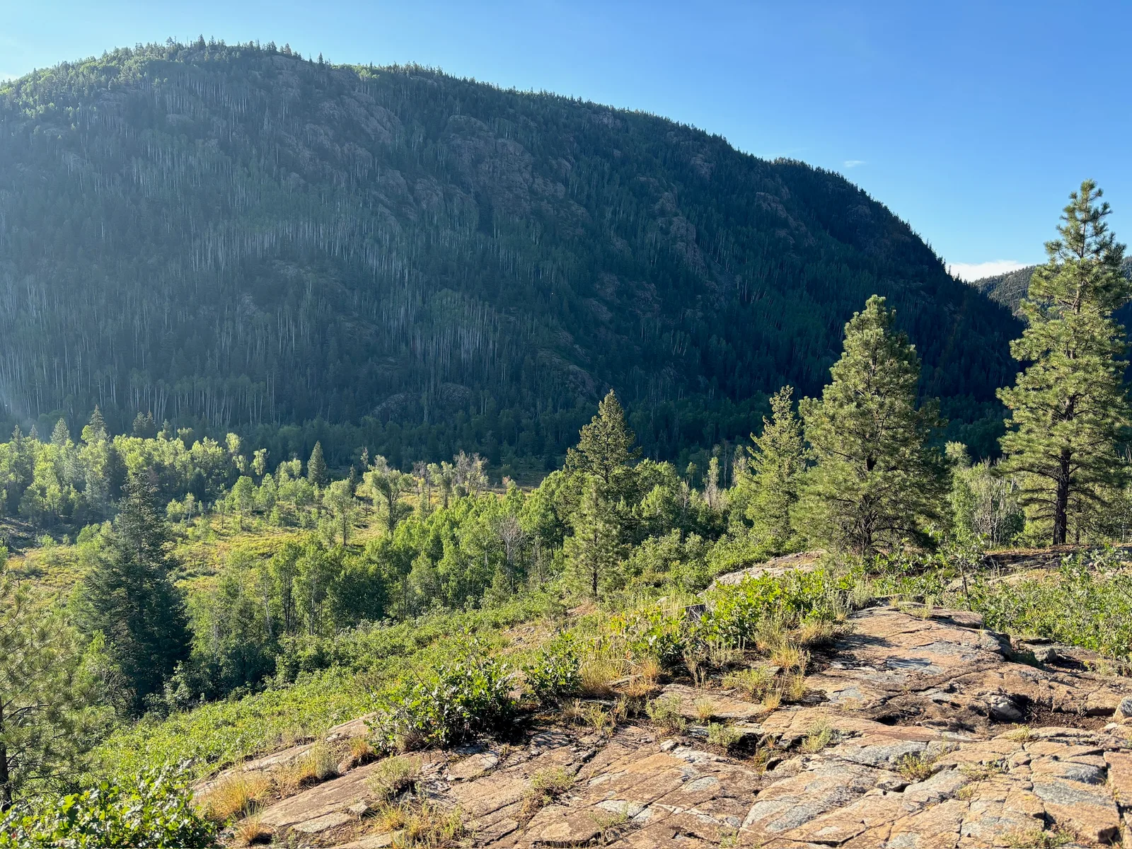 Overlooking Purgatory Flats from a lovely rock viewpoint