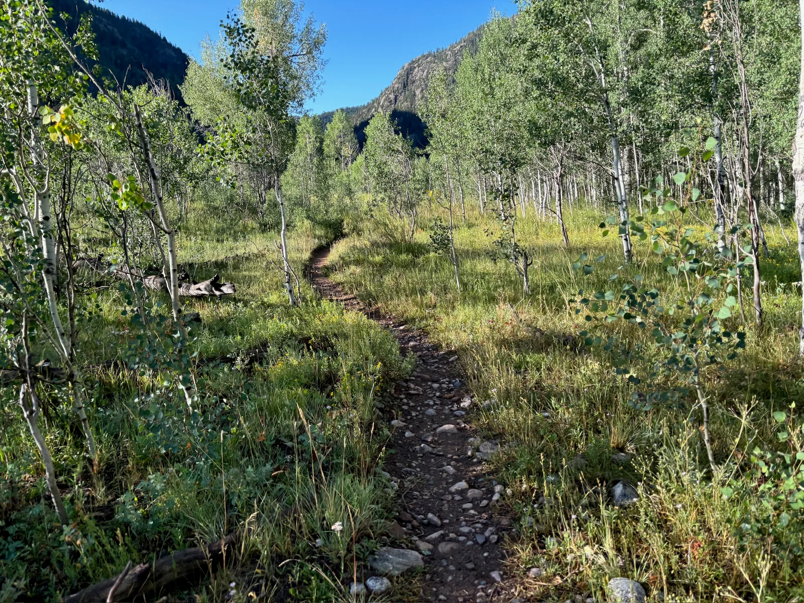 The trail goes ever on and on