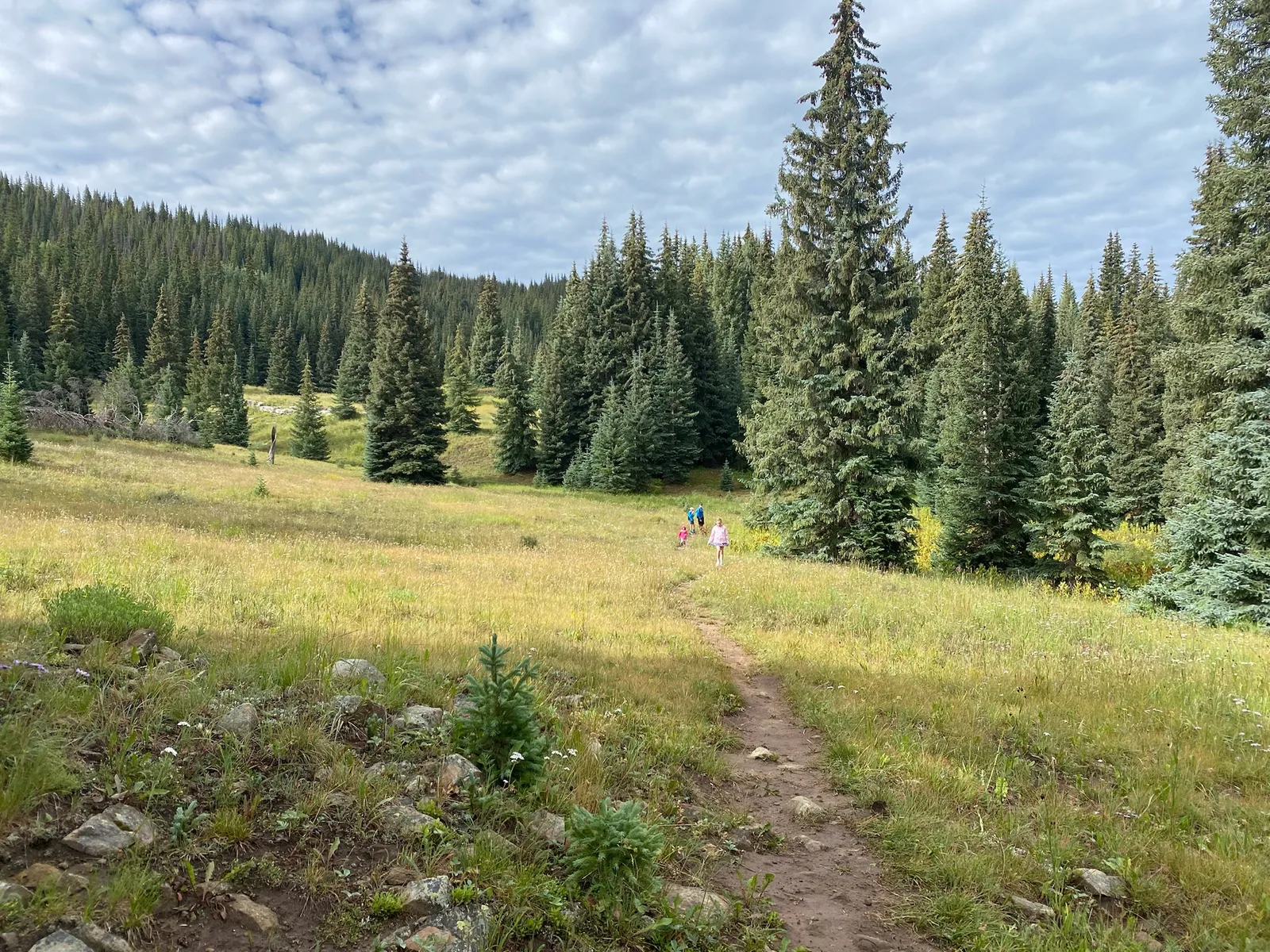 Beautiful Colorado, near Andrews Lake