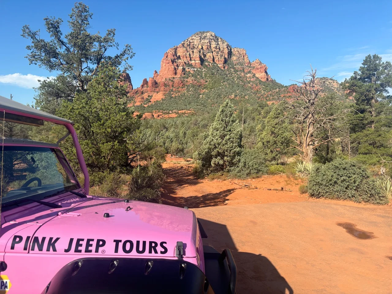 Pink Jeep Tours - we really enjoyed our tour with them