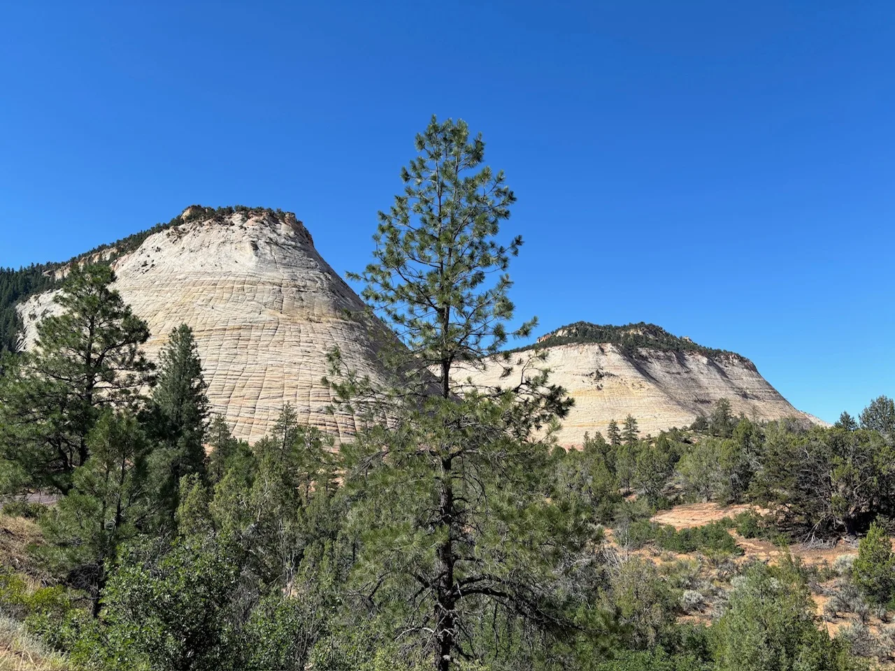 Checkerboard Mesa