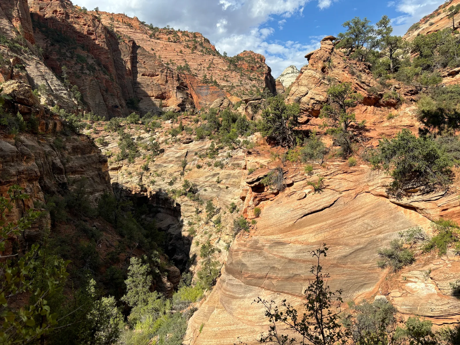 Canyon Overlook trail