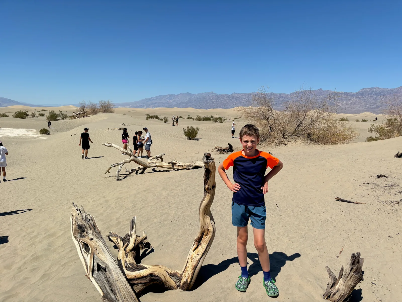 The Mesquite Flat Sand Dunes