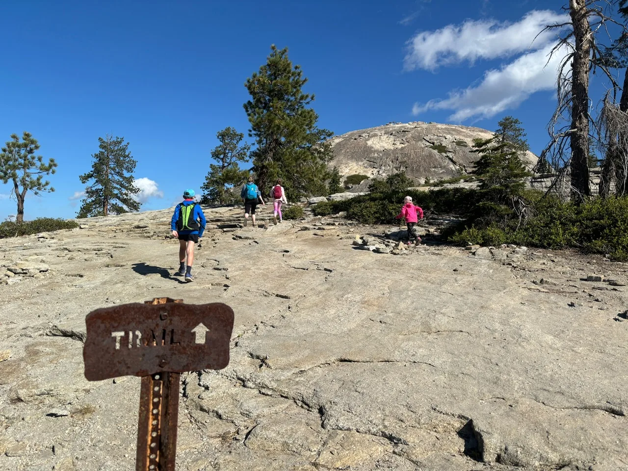 Towards Sentinel Dome